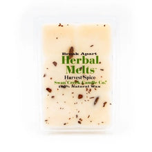 Load image into Gallery viewer, Harvest Spice Wax Melt