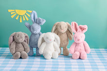 Load image into Gallery viewer, Plush Bunnies - 4 asst