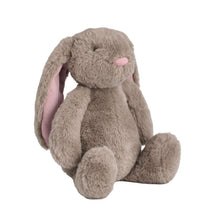 Load image into Gallery viewer, Plush Bunnies - 4 asst
