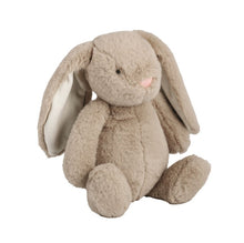 Load image into Gallery viewer, Plush Bunnies - 4 asst