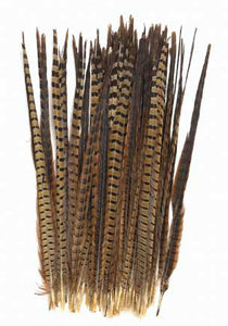 17" Ringneck Pheasant Feathers