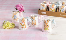Load image into Gallery viewer, Peter Rabbit Home Accent, asst