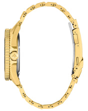 Load image into Gallery viewer, Promaster Dive