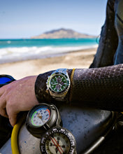 Load image into Gallery viewer, Promaster Dive