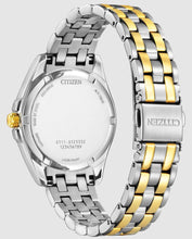 Load image into Gallery viewer, Peyten