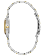 Load image into Gallery viewer, Corso