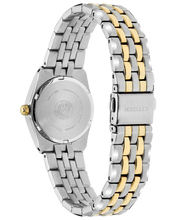 Load image into Gallery viewer, Corso