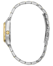 Load image into Gallery viewer, Corso