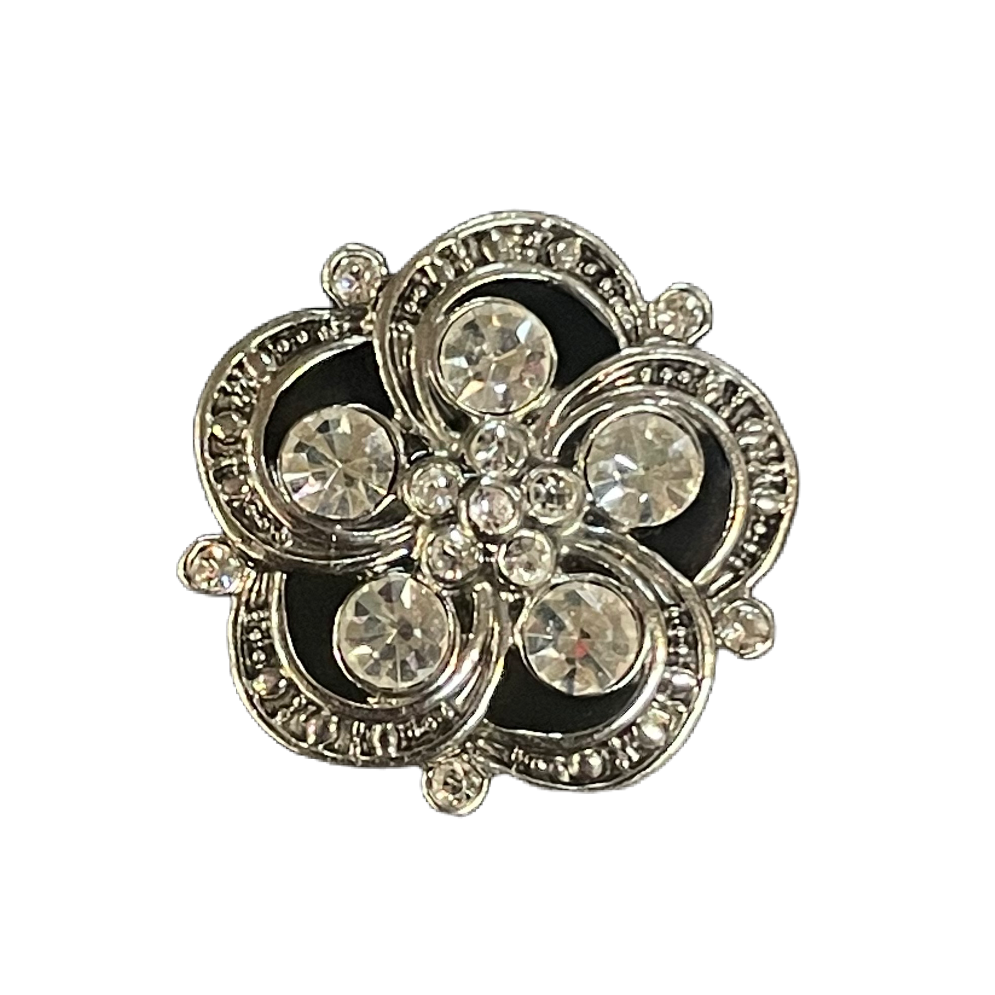 Ginger 2025 snap charms