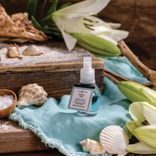 Load image into Gallery viewer, Ocean Tide WallScents™ Fragrance Oil Refill