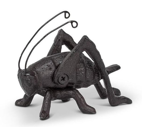 Small Cricket