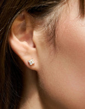 Load image into Gallery viewer, Sparkly Clover Stud Earrings Set