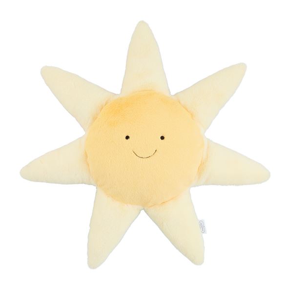 Sun Learning Pal