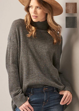 Load image into Gallery viewer, Marley Mock Neck, 2 Asst