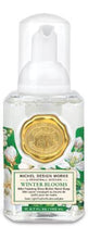 Load image into Gallery viewer, Winter Scents Mini Foaming Hand Soap - 3 Asst.