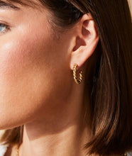 Load image into Gallery viewer, Mitchelville Hoop Earrings Gold