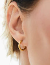 Load image into Gallery viewer, Moon Glade Huggie Hoop Earrings