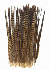 21" Ringneck Pheasant Feathers