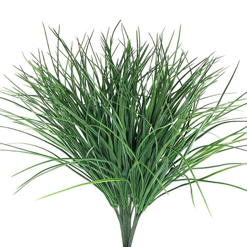 Monkey Grass