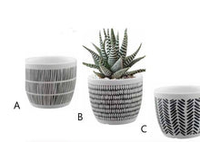Load image into Gallery viewer, Black &amp; White Terra Cotta Planters