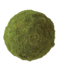 Load image into Gallery viewer, 5&quot; Moss Ball