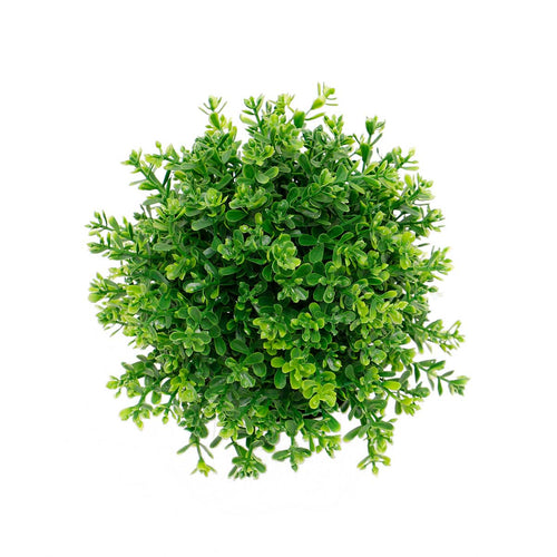 Dark Green Boxwood Ball Dome 6