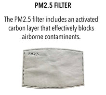 Load image into Gallery viewer, PM2.5 Filter for Masks