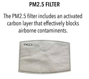 PM2.5 Filter for Masks