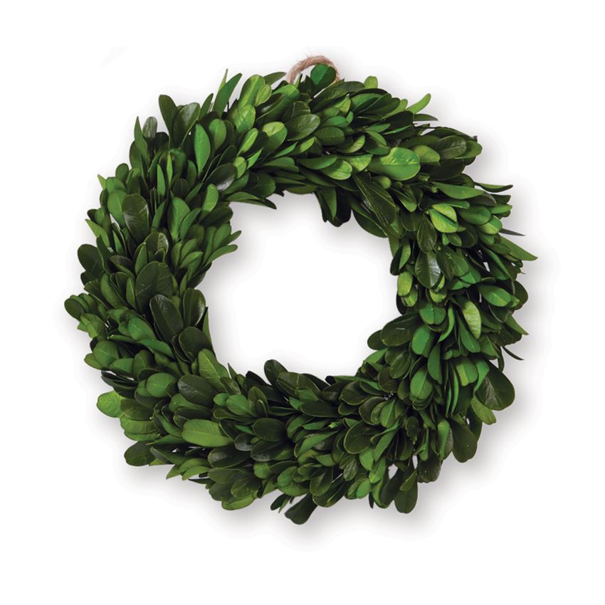 Preserved Boxwood Wreath 8 inch - Thumbnail 3