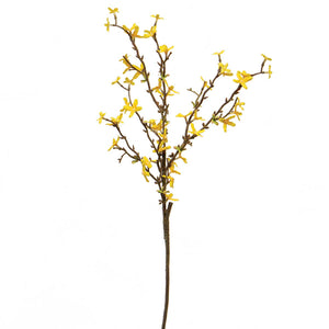 Yellow Forsythia Spray 13" x 30"