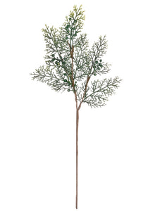 Cypress Spray