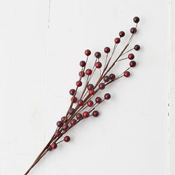 Dark Burgundy Berry Spray