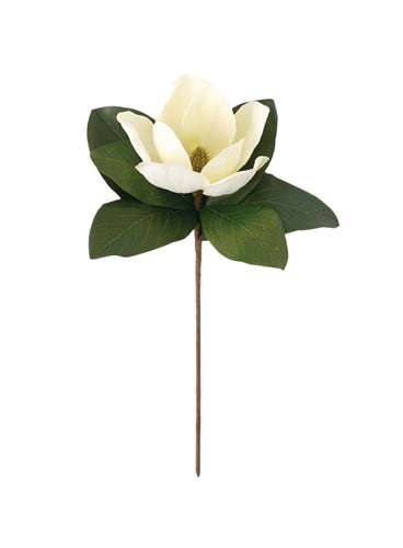 Magnolia Stems