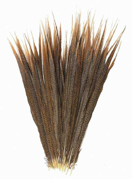 Pheasant Feathers, Golden