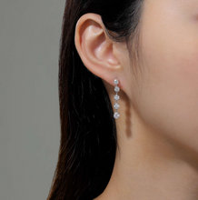 Load image into Gallery viewer, Station Drop Earrings