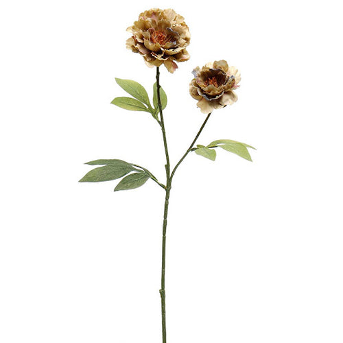 Peony Spray
